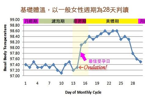 著床降溫圖|基礎體溫:著床性低溫+第二段高溫(提早判斷懷孕經驗分享)